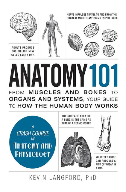 Anatomy 101: From Muscles and Bones to Organs and Systems, Your Guide to How the Human Body Works, Kevin Langford