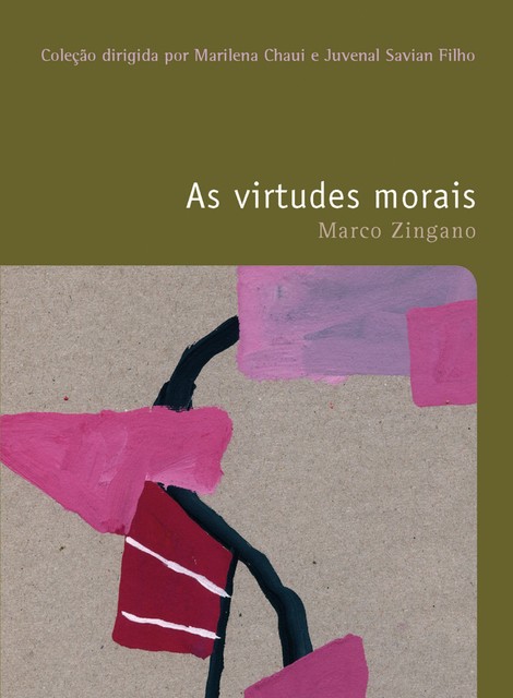 As virtudes morais, Marco Zingano