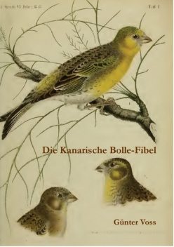 Die Kanarische Bolle-Fibel, Günter Voss