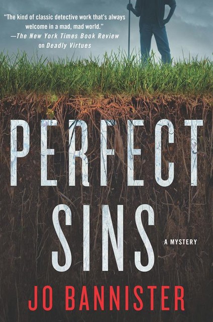 Perfect Sins, Jo Bannister