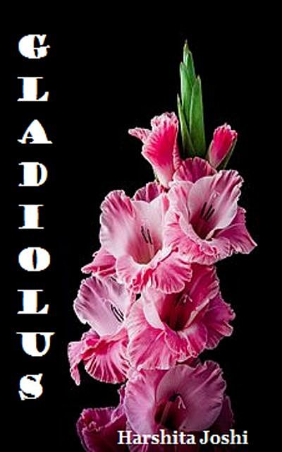 Gladiolus, Harshita Joshi