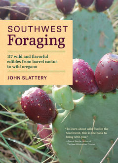 Southwest Foraging, John Slattery