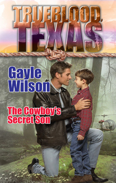 The Cowboy's Secret Son, Gayle Wilson