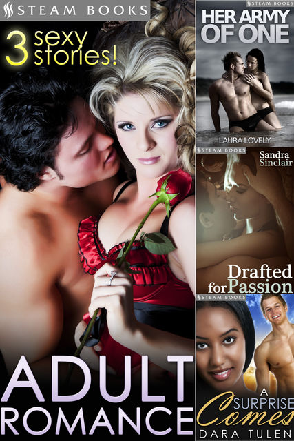 ADULT ROMANCE – 3 Sexy Stories, Sandra Sinclair, Laura Lovely, Dara Tulen