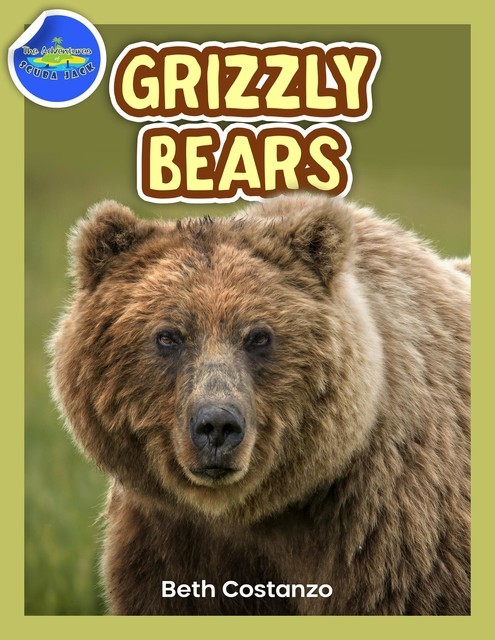 Grizzly Bear Activity Workbook ages 4–8, Beth Costanzo