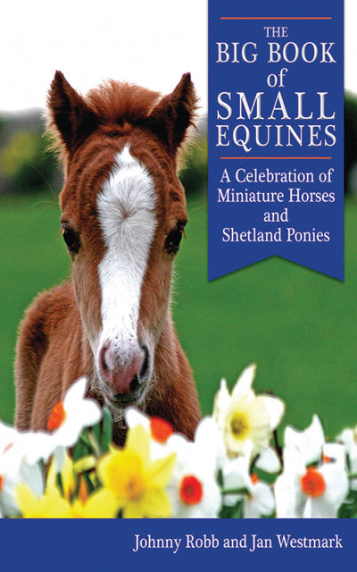 The Big Book of Small Equines, Jan Westmark, Johnny Robb