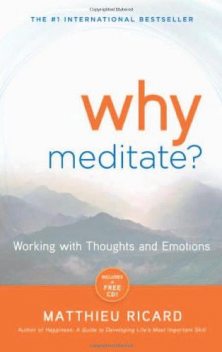 Why Meditate: Working With Thoughts and Emotions, Matthieu Ricard