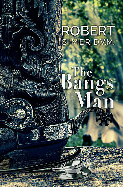 The Bangs Man, Robert Simer