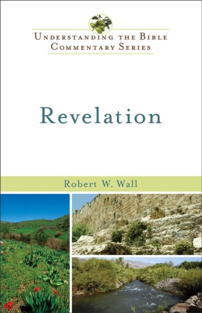 Revelation (Understanding the Bible Commentary Series), Robert W. Wall