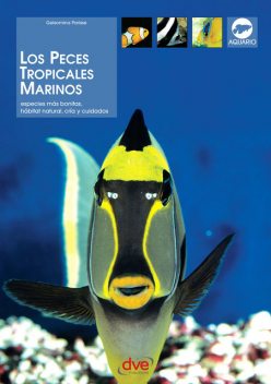 Los peces tropicales marinos, Gelsomina Parisse
