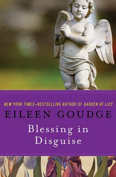 Blessing in Disguise, Eileen Goudge