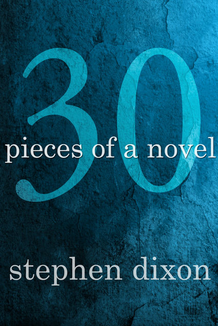 30 Pieces of a Novel, Stephen Dixon