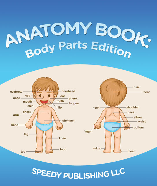 Anatomy Book: Body Parts Edition, Speedy Publishing