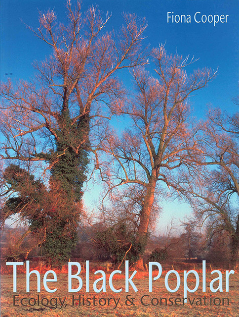 The Black Poplar, Fiona Cooper