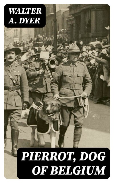 Pierrot, Dog of Belgium, Walter A. Dyer