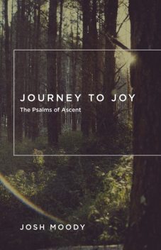 Journey to Joy, Josh Moody