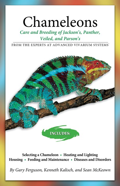 Essential Care of Chameleons, Philippe De Vosjoli