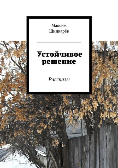 Устойчивое решение, Максим Шинкарёв