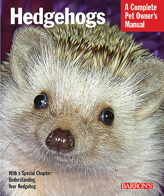 Hedgehogs, Sharon Vanderlip