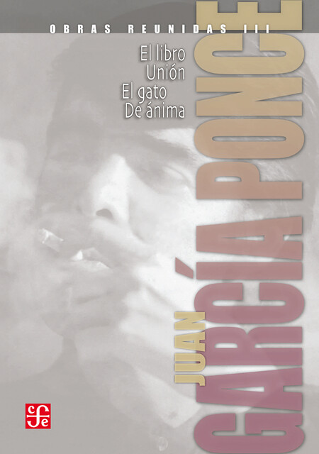 Obras reunidas, III. Novelas cortas II, Juan García Ponce