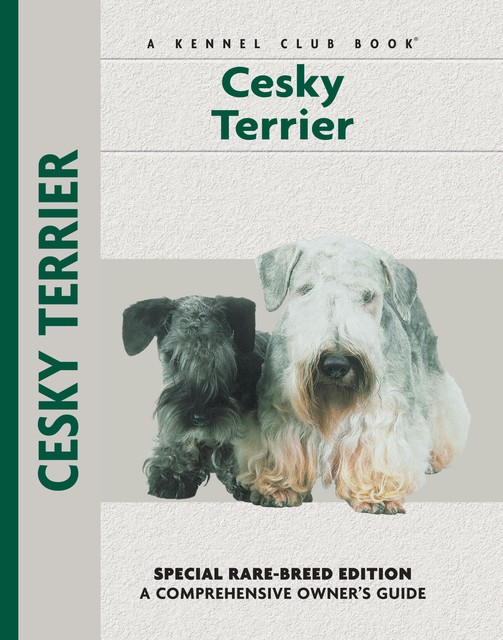 Cesky Terrier, Katherine A. Eckstrom