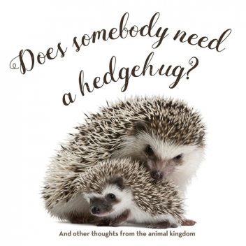 Does Somebody Need a Hedgehug, Gibbs Smith