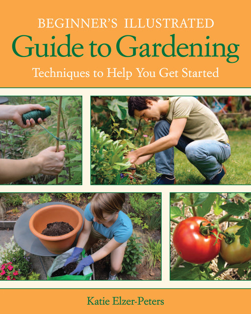 Beginner's Illustrated Guide to Gardening, Katie Elzer-Peters