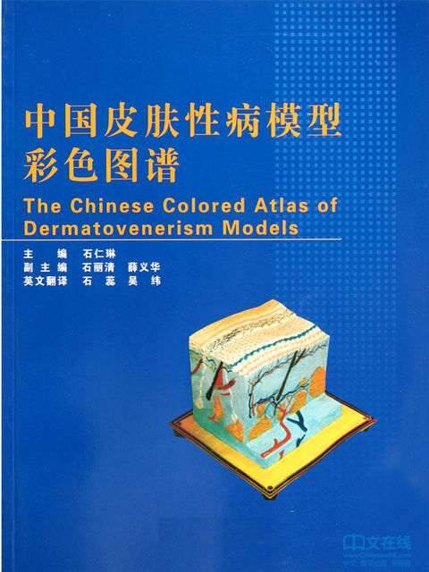 中国皮肤性病模型彩色图谱, 石仁琳主编