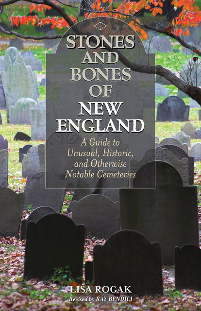 Stones and Bones of New England, Lisa Rogak
