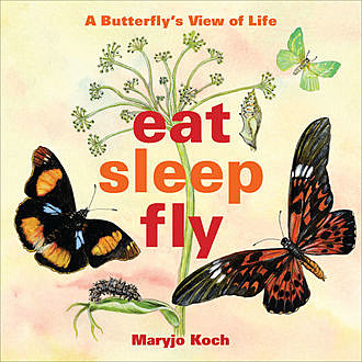 Eat, Sleep, Fly, Maryjo Koch