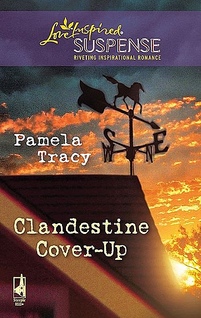 Clandestine Cover-Up, Pamela Tracy
