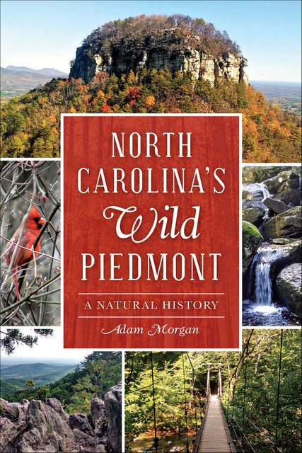 North Carolina‚Äôs Wild Piedmont, Morgan Adam