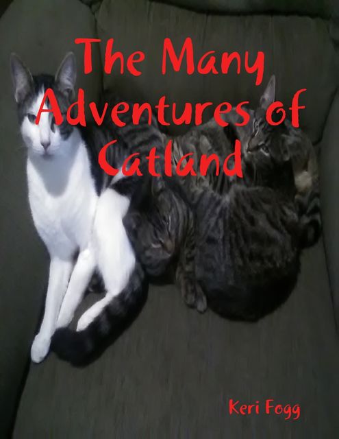 The Many Adventures of Catland, Keri Fogg