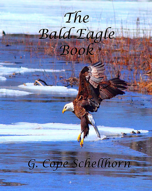 The Bald Eagle Book, G.Cope Schellhorn