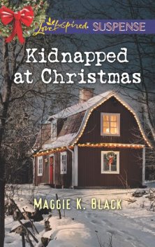 Kidnapped At Christmas, Maggie K.Black