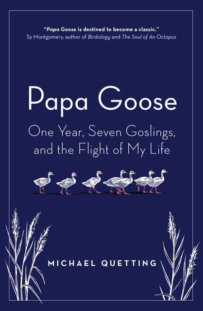Papa Goose, Michael Quetting