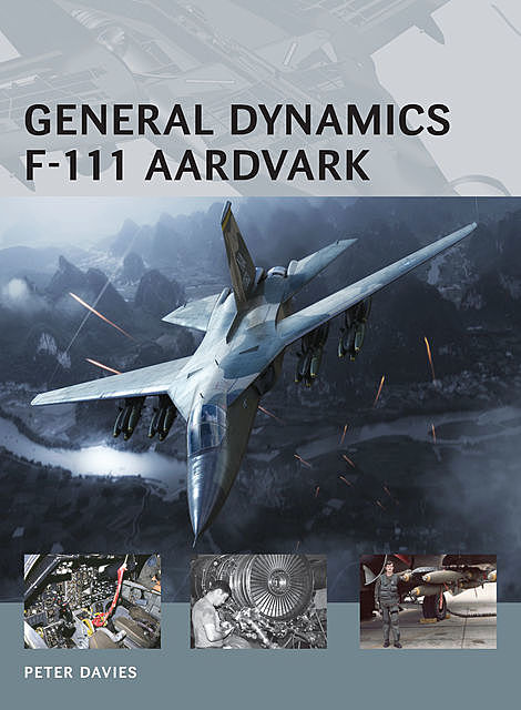 General Dynamics F-111 Aardvark, Peter Davies