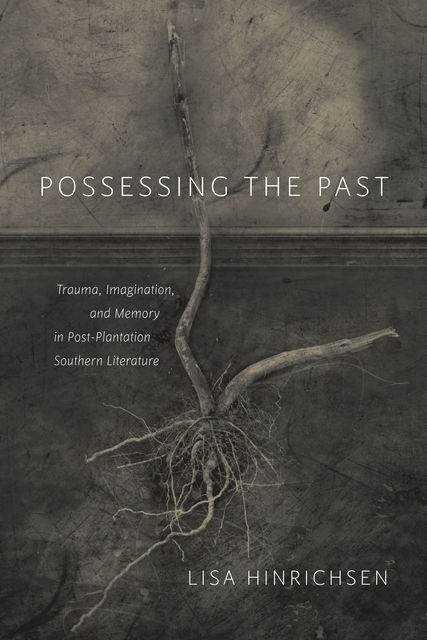 Possessing the Past, Lisa Hinrichsen