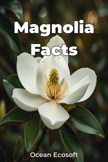 Magnolia Facts, Ocean Ecosoft