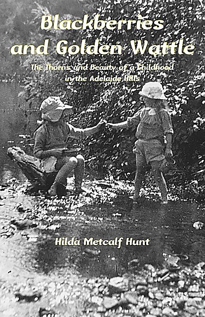 Blackberries and Golden Wattle, Hilda Metcalf Hunt