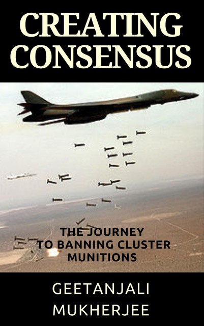 Creating Consensus, Geetanjali Mukherjee