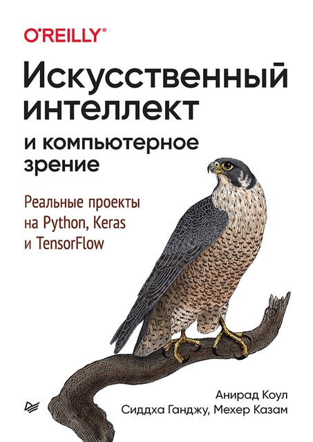 Искусственный интеллект и компьютерное зрение. Реальные проекты на Python, Keras и TensorFlow, Ганджу С., Казам М., Коул А.