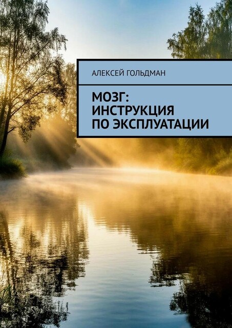 Мозг: Инструкция по эксплуатации, Алексей Гольдман