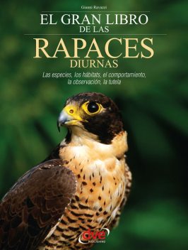 El gran libro de las rapaces diurnas, Gianni Ravazzi