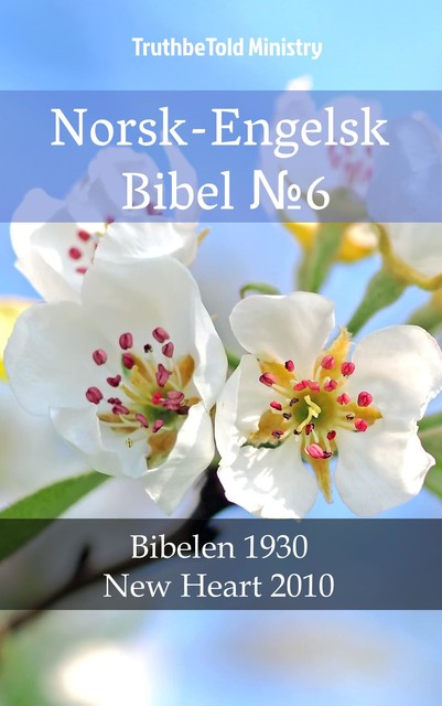 Norsk-Engelsk Bibel №6, Joern Andre Halseth