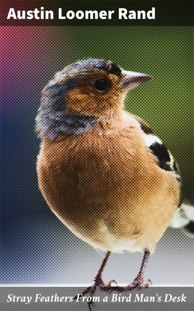 Stray Feathers From a Bird Man's Desk, Austin Loomer Rand