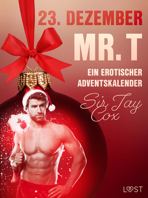 23. Dezember: Mr. T – ein erotischer Adventskalender, Sir Jay Cox