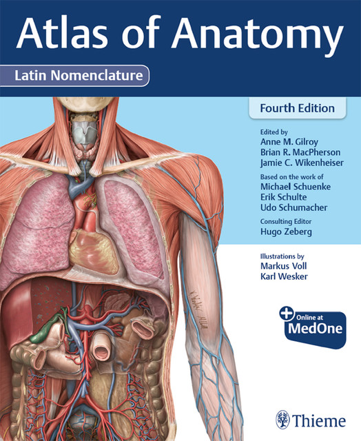 Atlas of Anatomy, Latin Nomenclature, Gilroy Anne, Brian R. MacPherson, Jamie C. Wikenheiser