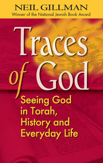 Traces of God, Rabbi Neil Gillman