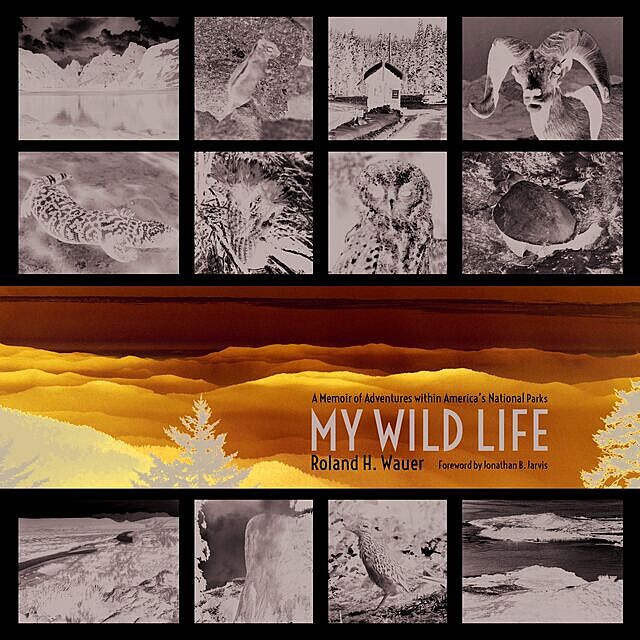 My Wild Life, Roland Wauer